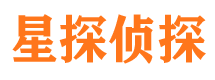 大名寻人公司